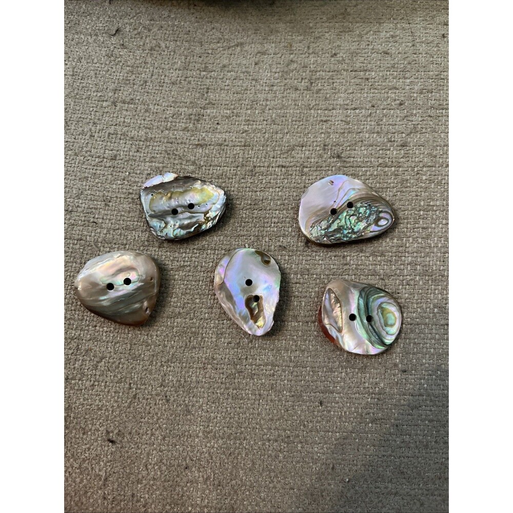 Vintage Set of 5 Naturally Shaped Paua Shell Buttons